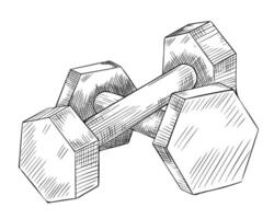 Hanteln zum Fitness. Hantel Illustration auf isoliert Hintergrund. linear Zeichnung von Sport Ausrüstung zum Gewichtheben im Fitnessstudio gemalt durch schwarz Tinten. Ausbildung Gewichte skizzieren zum Symbol oder Logo vektor