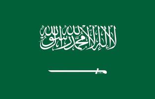 nationell flagga av saudi arabien. saudi arabien flagga. vektor