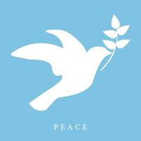 fred ikon med vit duva eller fågel vektor