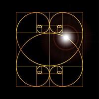 Fibonacci oder golden Verhältnis schwarz und Gold geometrisch Hintergrund Illustration vektor