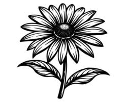 svart och vit blomma vektor