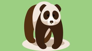 panda tecknad serie djur- isolerat för barn färg bok vektor