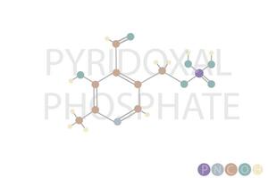 pyridoxal fosfat molekyl skelett- kemisk formel vektor