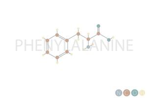 Phenylalanin molekular Skelett- chemisch Formel vektor