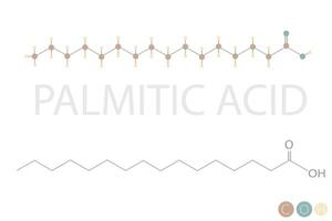 palmitin- syra molekyl skelett- kemisk formel vektor