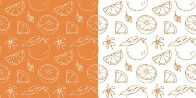 Gliederung Orange nahtlos Muster mit Tinte Linie skizzieren Stil Zitrusfrüchte Früchte und Blüten Zeichnung vektor