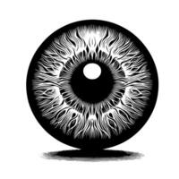 schwarz und Weiß Illustration von das Mensch Auge Iris vektor