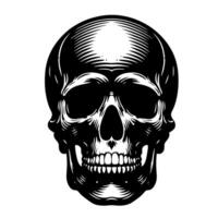 svart och vit illustration av en mänsklig skalle vektor