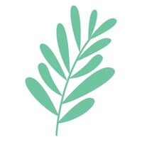 Blätter, Symbol Frühling und Wachstum, Pflanze Ast auf Weiß Hintergrund vektor