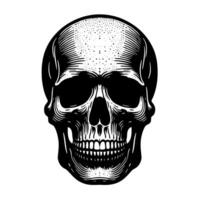svart och vit illustration av en mänsklig skalle vektor