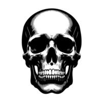 schwarz und Weiß Illustration von ein Mensch Schädel vektor