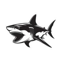 heftig schwarz und Weiß Hai Illustration vektor