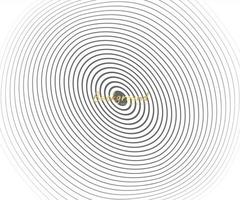 abstrakt cirkel mönster svart och vit färg ring. abstrakt vektorillustration för ljudvåg, monokrom grafik. vektor