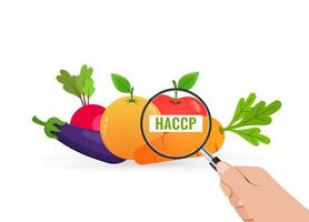 haccp Lebensmittelsicherheitsprüfung und -inspektion vektor