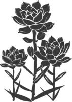 Silhouette saftig Pflanze schwarz Farbe nur vektor