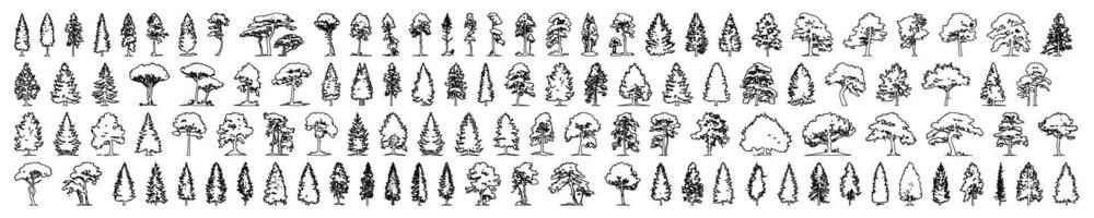 minimal stil cad träd linje teckning, sida se, uppsättning av grafik träd element översikt symbol för arkitektur och landskap design teckning. illustration i stroke fylla i vit mega samling vektor