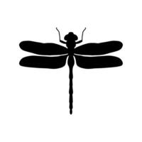 trollslända svart och vit silhuett illustration. svart och vit realistisk hand teckning av trollslända insekt på vit bakgrund vektor