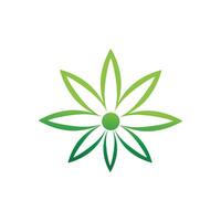 Cannabis Logo Vorlage Symbol Design vektor