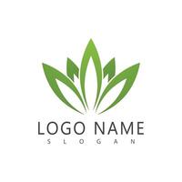 Cannabis Logo Vorlage Symbol Design vektor