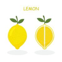 färsk citron- frukter, samling av illustrationer. vektor