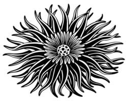anemon översikt illustration vektor