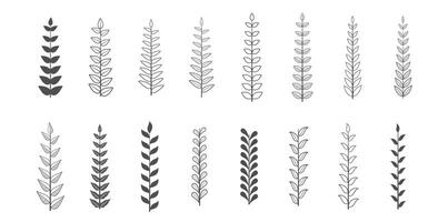 samling av organisk löv element bakgrund design vektor