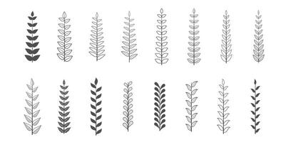 Sammlung von organisch Blätter Element Hintergrund Design vektor