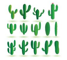 samling av vild och torr kaktus växt bakgrund design vektor