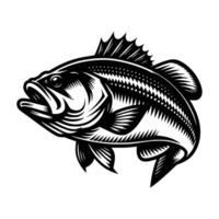 Bass Fisch Illustration kostenlos Kunst vektor