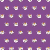 nahtlos Muster Gänseblümchen lila Hintergrund dards Plakate Banner Frühling Sommer- Kleider Verpackung Hintergrund Vorlage Textil- vektor