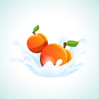 Aprikoser i mjölkplask vektor