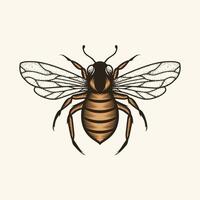 honung bi årgång logotyp med hand dragen skiss vektor