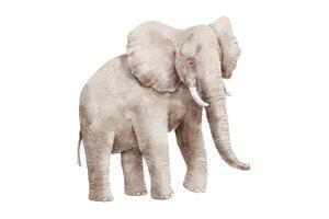 vattenfärg realistisk elefant isolerat på vit bakgrund. vektor