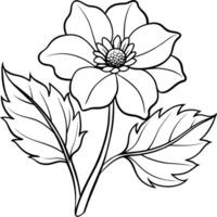 Anemone Blume Pflanze Gliederung Illustration Färbung Buch Seite Design, Anemone Blume Pflanze schwarz und Weiß Linie Kunst Zeichnung Färbung Buch Seiten zum Kinder und Erwachsene vektor