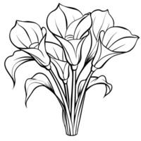 calla lilja blomma bukett översikt illustration färg bok sida design, calla lilja blomma bukett svart och vit linje konst teckning färg bok sidor för barn och vuxna vektor