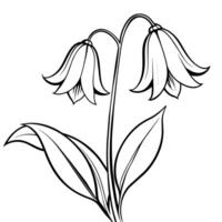 blåklocka blomma växt översikt illustration färg bok sida design, blåklocka blomma växt svart och vit linje konst teckning färg bok sidor för barn och vuxna vektor