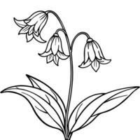 blåklocka blomma växt översikt illustration färg bok sida design, blåklocka blomma växt svart och vit linje konst teckning färg bok sidor för barn och vuxna vektor