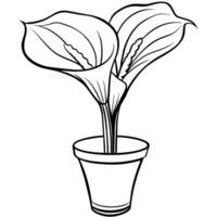 calla lilja blomma på de vas översikt illustration färg bok sida design, calla lilja blomma på de vas svart och vit linje konst teckning färg bok sidor för barn och vuxna vektor