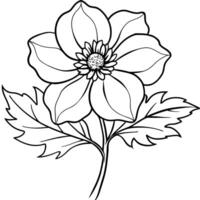 Anemone Blume Pflanze Gliederung Illustration Färbung Buch Seite Design, Anemone Blume Pflanze schwarz und Weiß Linie Kunst Zeichnung Färbung Buch Seiten zum Kinder und Erwachsene vektor