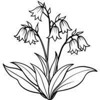 blåklocka blomma växt översikt illustration färg bok sida design, blåklocka blomma växt svart och vit linje konst teckning färg bok sidor för barn och vuxna vektor