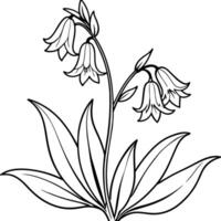 blåklocka blomma växt översikt illustration färg bok sida design, blåklocka blomma växt svart och vit linje konst teckning färg bok sidor för barn och vuxna vektor