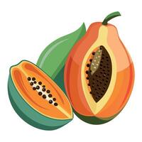 Papaya Obst eben Stil Illustration vektor