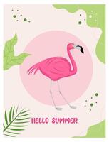 Illustration von exotisch Flamingo Vogel zum Postkarte, Poster. vektor