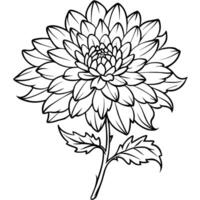 Chrysantheme Blume Pflanze Gliederung Illustration Färbung Buch Seite Design, Chrysantheme Blume Pflanze schwarz und Weiß Linie Kunst Zeichnung Färbung Buch Seiten zum Kinder und Erwachsene vektor