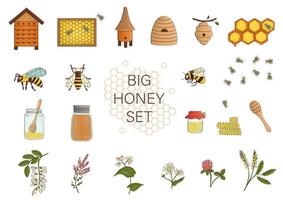 vektorfarbenes Set aus Honig, Biene, Hummel, Bienenstock, Wespe, Bienenhaus, Wiesenblumen, Waben, Propolis, Glas, Löffel. bunte Honigsammlung isoliert auf weißem Hintergrund. vektor