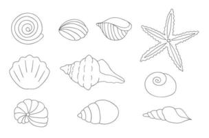 Vektor-Schwarz-Weiß-Set von Muscheln auf weißem Hintergrund. monochrome Marinesammlung. Unterwasserillustration vektor