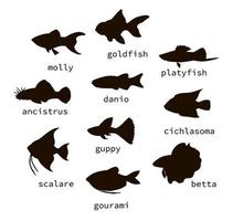 Vektor-Set von schwarzen Aquarienfischen Silhouetten mit Text. Sammlung von isoliert auf weißem Hintergrund monochrome Molly, Guppy, Platyfish, Goldfisch, Danio, Scalare, Cichlasoma