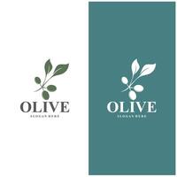 oliv logotyp oliv olja enkel design design vektor