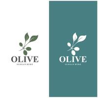 Olive Logo Olive Öl einfach Design Design vektor