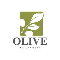 Olive Logo Olive Öl einfach Design Design vektor